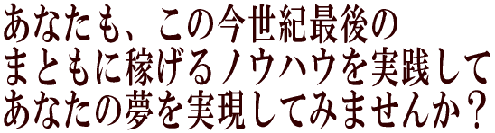 あなたもこの今世紀最後の まともに稼げるノウハウを実践して あなたの夢を実現してみませんか?